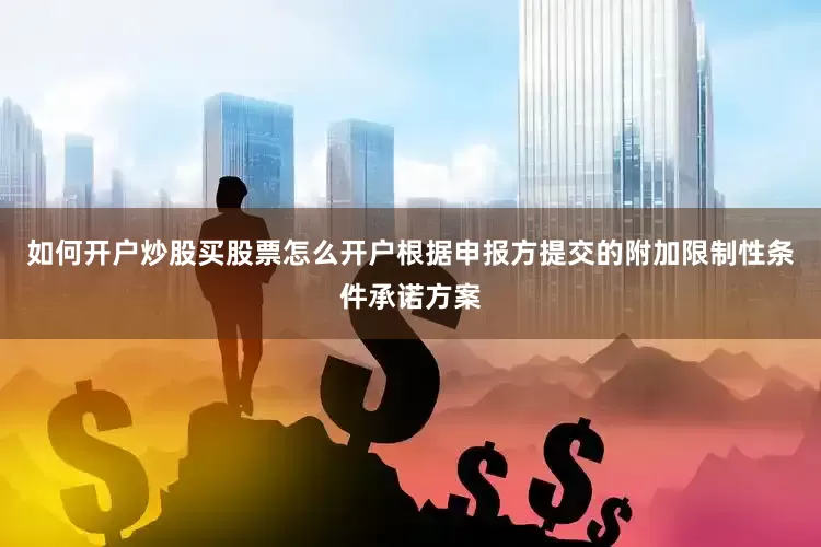 如何开户炒股买股票怎么开户根据申报方提交的附加限制性条件承诺方案