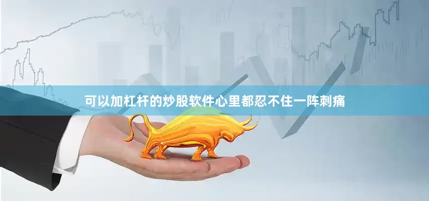 可以加杠杆的炒股软件心里都忍不住一阵刺痛