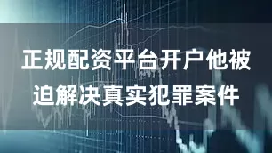 正规配资平台开户他被迫解决真实犯罪案件