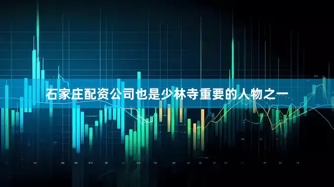 石家庄配资公司也是少林寺重要的人物之一