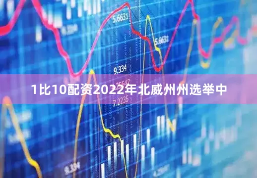 1比10配资2022年北威州州选举中